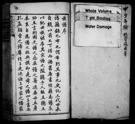 湖南皮氏族谱-善化皮氏世族谱 [16卷].pdf电子版预览图1