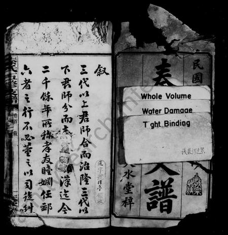 湖南秦氏族谱-秦氏支谱 [5卷,及卷首].pdf电子版预览图3