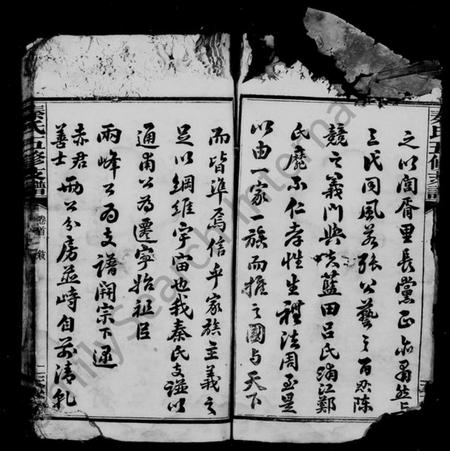 湖南秦氏族谱-秦氏支谱 [5卷,及卷首].pdf电子版预览图4