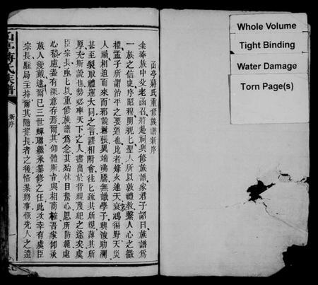 江西蒋氏族谱-〇亭蒋氏族谱.pdf电子版预览图2