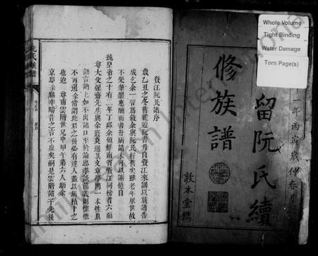 湖南阮氏族谱-阮氏族谱.pdf电子版预览图3