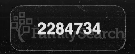 湖南盛氏族谱-纠田盛氏族谱.pdf电子版