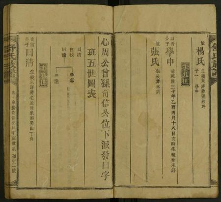 湖南舒氏族谱-舒氏方公房谱 [存20卷及卷首].pdf电子版预览图2