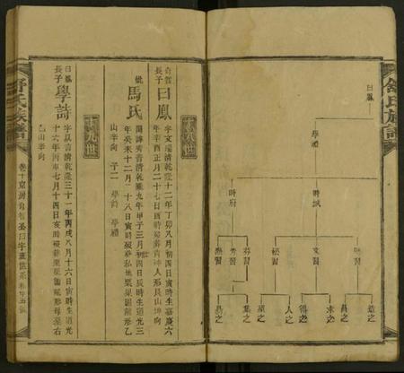 湖南舒氏族谱-舒氏方公房谱 [存20卷及卷首].pdf电子版预览图5