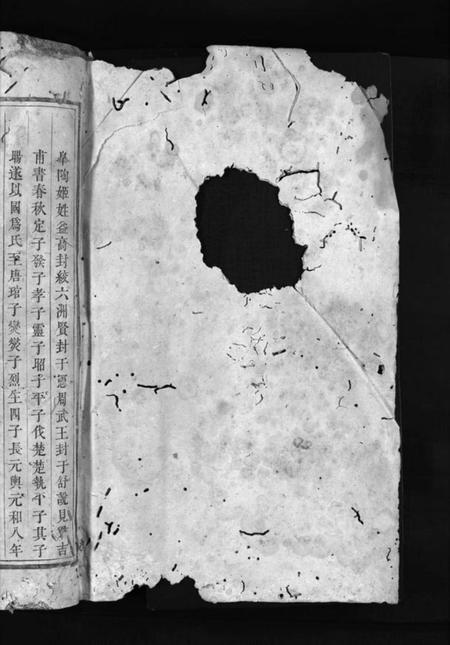 湖南舒氏族谱-舒氏族谱 [3卷].pdf电子版预览图2