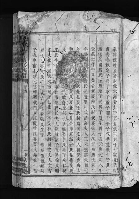 湖南舒氏族谱-舒氏族谱 [3卷].pdf电子版预览图3