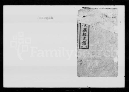 湖南宋氏族谱-宋氏应辂支谱 [8卷].pdf电子版预览图1