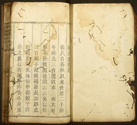 江西赖氏族谱-株镇赖祠族谱.pdf电子版预览图1