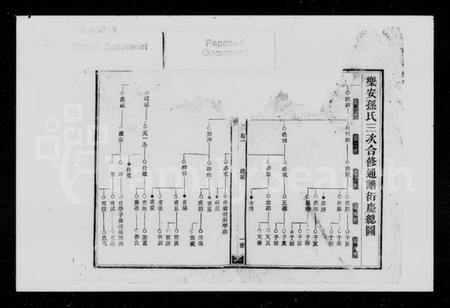 湖南孙氏族谱-孙氏三修通谱 [残卷].pdf电子版预览图2