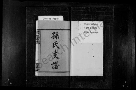 湖南孙氏族谱-孙氏支谱 [8卷].pdf电子版预览图2