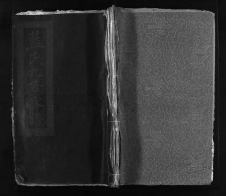 江西蓝氏族谱-蓝氏九修家谱 [60卷].pdf电子版预览图1