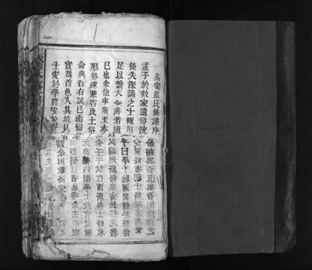 江西蓝氏族谱-蓝氏九修家谱 [60卷].pdf电子版预览图2