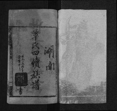 湖南覃氏族谱-湖南覃氏四续族谱[20卷,首6册].pdf电子版预览图2