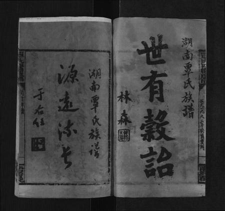 湖南覃氏族谱-湖南覃氏四续族谱[20卷,首6册].pdf电子版预览图3