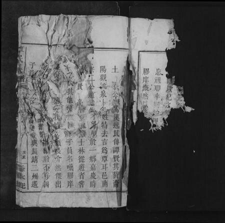 湖南覃氏族谱-覃氏族谱[总卷数不详].pdf电子版预览图1