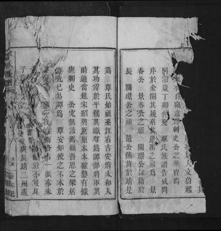 湖南覃氏族谱-覃氏族谱[总卷数不详].pdf电子版预览图4
