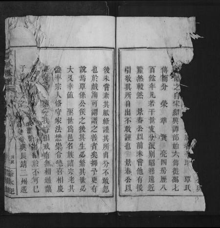湖南覃氏族谱-覃氏族谱[总卷数不详].pdf电子版预览图5