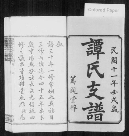 湖南谭氏族谱-湘潭学前谭氏四修支谱 [15卷].pdf电子版预览图2