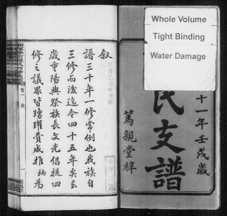 湖南谭氏族谱-湘潭学前谭氏四修支谱 [15卷].pdf电子版预览图3