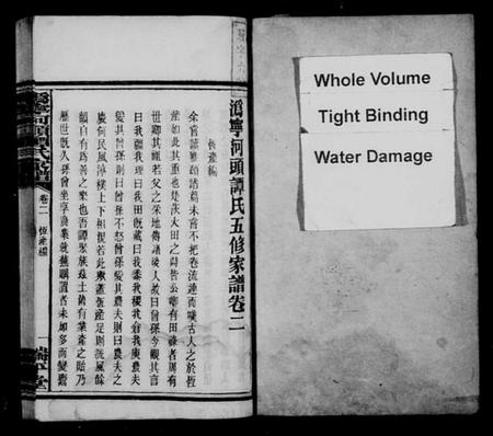 湖南谭氏族谱-沩宁河头谭氏家谱.pdf电子版预览图2