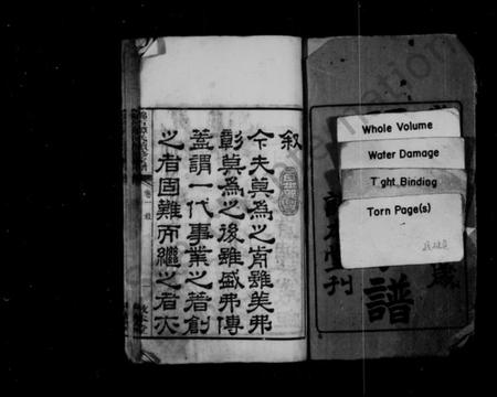 湖南谭氏族谱-谭氏家谱 [16卷].pdf电子版预览图3