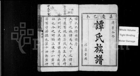 湖南谭氏族谱-谭氏成初公派下家谱 [12卷,首1卷,谱翼10卷].pdf电子版预览图2