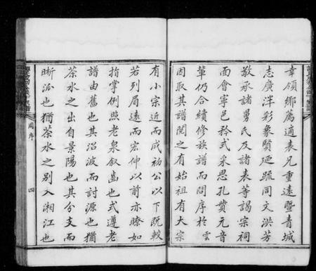 湖南谭氏族谱-谭氏成初公派下家谱 [12卷,首1卷,谱翼10卷].pdf电子版预览图5