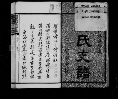 湖南谭氏族谱-谭氏支谱 [11卷,含首1卷].pdf电子版预览图3