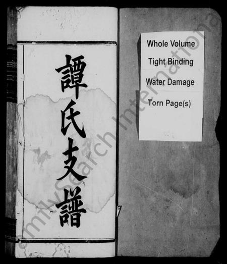 湖南谭氏族谱-谭氏支谱 [11卷].pdf电子版预览图2