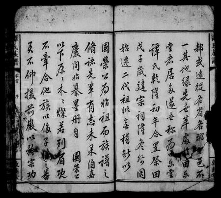 湖南谭氏族谱-谭氏族谱 [17卷,含卷首].pdf电子版预览图5