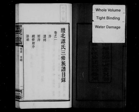 湖南谭氏族谱-醴北谭氏三修族谱 [16卷].pdf电子版预览图4