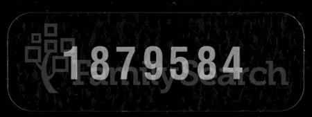 湖南汤氏族谱-汤氏五修族谱 [兴派17卷,礼派7卷,盘派1卷,首2卷].pdf电子版缩略图