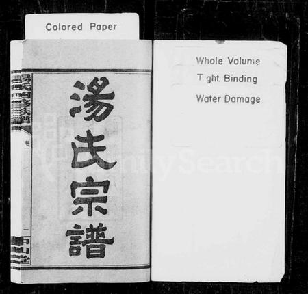 湖南汤氏族谱-汤氏宗谱 [9卷].pdf电子版预览图2