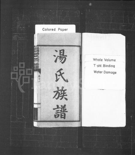 湖南汤氏族谱-汤氏族谱 [12卷,及卷首末].pdf电子版预览图2