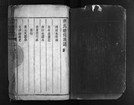 湖南唐氏族谱-唐氏家乘 [2卷,首2卷].pdf电子版预览图1