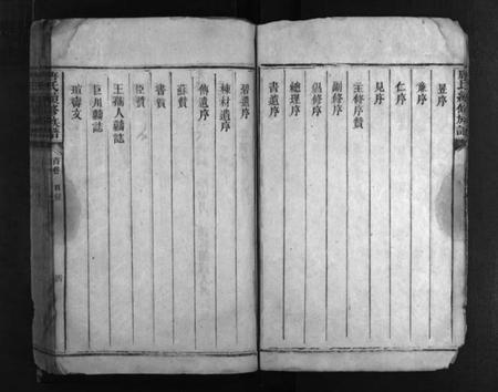 湖南唐氏族谱-唐氏家乘 [2卷,首2卷].pdf电子版预览图5