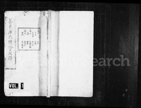 湖南唐氏族谱-唐氏支谱 [19卷,含首1卷,末1卷].pdf电子版预览图1