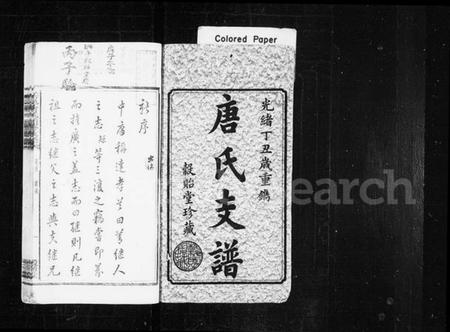 湖南唐氏族谱-唐氏支谱 [19卷,含首1卷,末1卷].pdf电子版预览图2