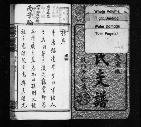 湖南唐氏族谱-唐氏支谱 [19卷,含首1卷,末1卷].pdf电子版预览图3