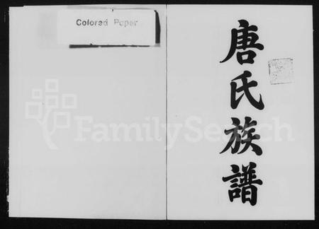 湖南唐氏族谱-唐氏族谱.pdf电子版预览图1