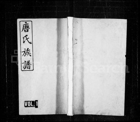 湖南唐氏族谱-唐氏族谱 [10卷,首4卷].pdf电子版预览图1