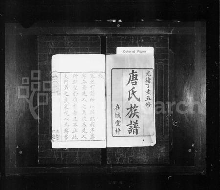 湖南唐氏族谱-唐氏族谱 [24卷,首末各1卷].pdf电子版预览图2