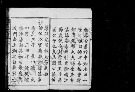 湖南唐氏族谱-唐氏族谱 [8卷,首末各1卷].pdf电子版预览图4