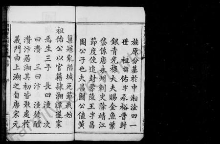 湖南唐氏族谱-唐氏族谱 [8卷,首末各1卷].pdf电子版预览图5