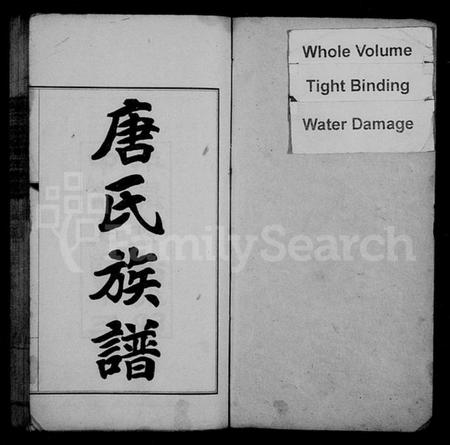 湖南唐氏族谱-慈石澧临唐氏族谱 [59卷].pdf电子版预览图2