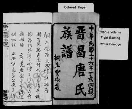 湖南唐氏族谱-桐木桥唐氏族谱 [8卷,含首1卷].pdf电子版预览图2