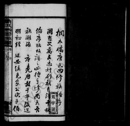 湖南唐氏族谱-桐木桥唐氏族谱 [8卷,含首1卷].pdf电子版预览图3