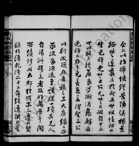 湖南唐氏族谱-桐木桥唐氏族谱 [8卷,含首1卷].pdf电子版预览图4