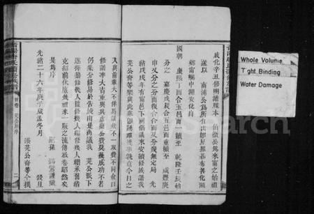 湖南唐氏族谱-晋阳唐氏续修族谱 [4卷,及卷首末].pdf电子版预览图4