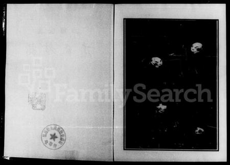 湖南唐氏族谱-津临安澧唐氏族谱 [4卷].pdf电子版预览图3